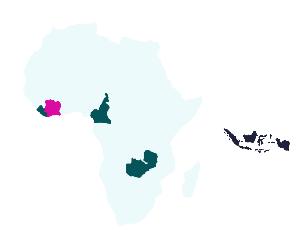 Map of Africa showing Syphilis-Free Start countries